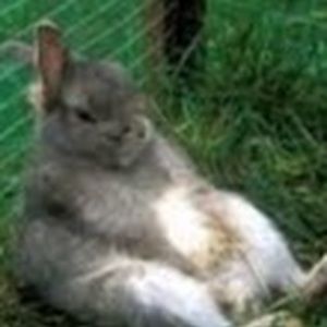 Meet your Posher, Janelle